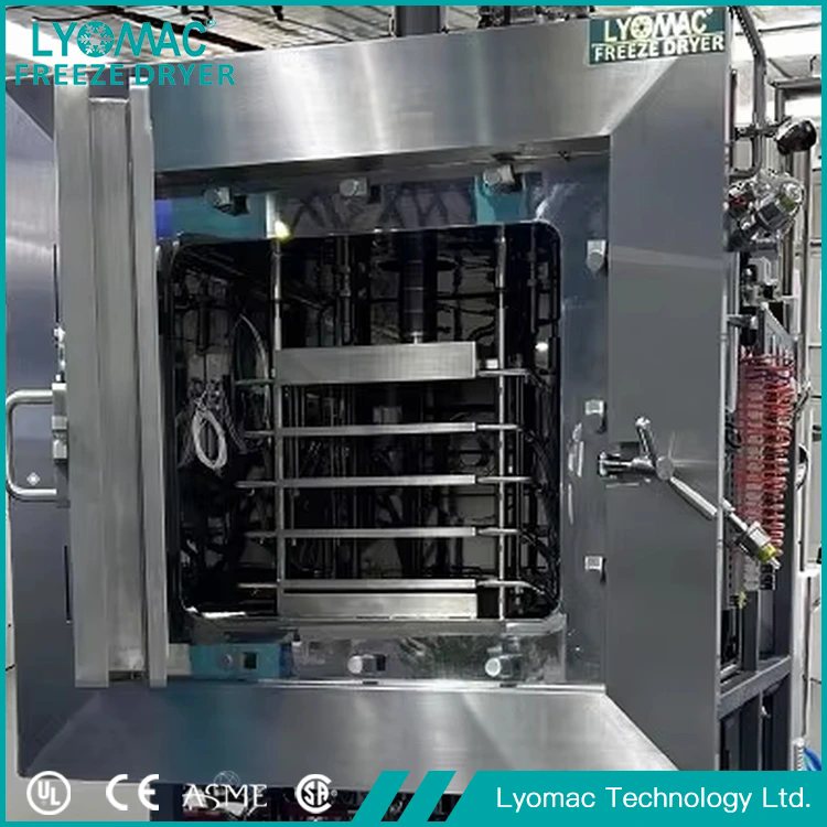 Hogyan javíthatják a biológiai minták liofilizálói a laboratóriumi hatékonyságot?