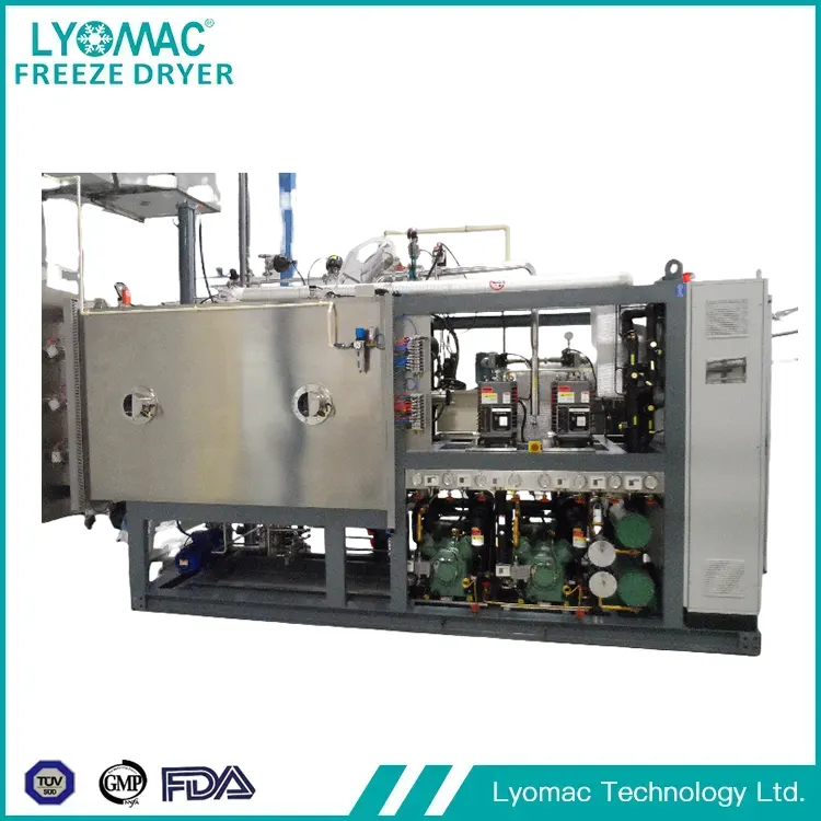 A liofilizálás globális élcsapata: LYOMAC TECHNOLOGY LTD és a steril feldolgozás jövője